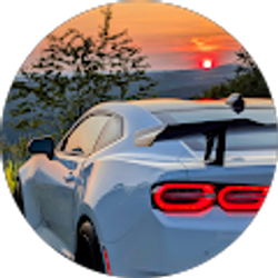 Profile photo of Daniel Mueller