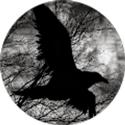 Profile photo of Dylan Romansky