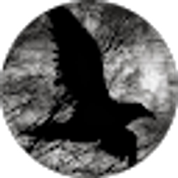 Profile photo of Dylan Romansky