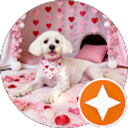 Profile photo of Vanessa Marotz