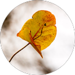 Profile photo of Mark D