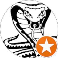 Profile photo of Patrick O'Dell