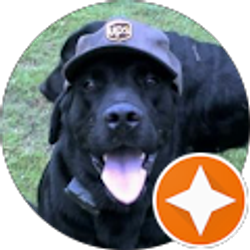 Profile photo of Tray39