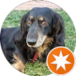 Profile photo of Mari Cooper (Tru)