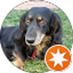 Profile photo of Mari Cooper (Tru)