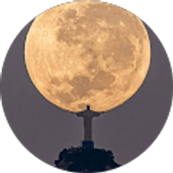 Profile photo of Chris Trim