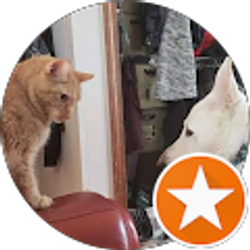 Profile photo of Taylor Cichon