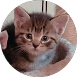 Profile photo of catherine goodrich (Cat)