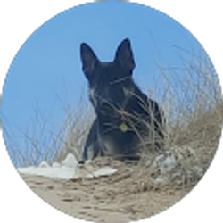 Profile photo of Ortin