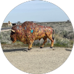 Profile photo of Holly Walechka