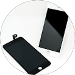 Profile photo of qike wu