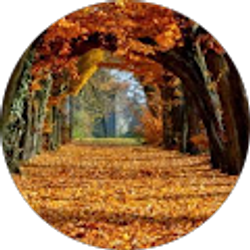 Profile photo of adam beerich