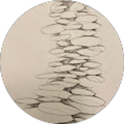 Profile photo of Terry Stock