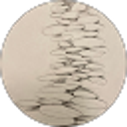 Profile photo of Terry Stock