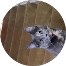 Profile photo of Dana P