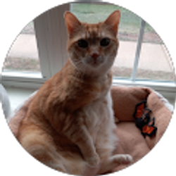 Profile photo of Drake Woodhams