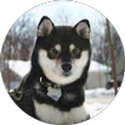 Profile photo of Gohest404