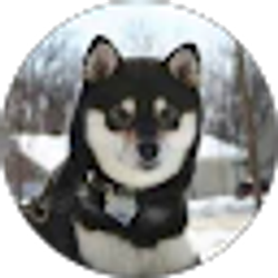 Profile photo of Gohest404
