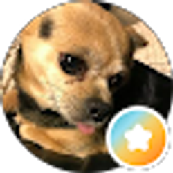 Profile photo of Cheryl Scuderi
