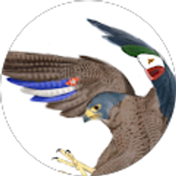 Profile photo of Gisel Solano Gonzalez