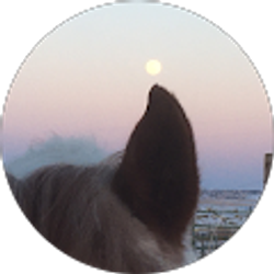 Profile photo of Faith M. Terrana