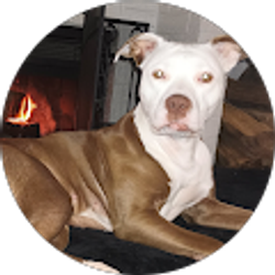 Profile photo of DM Wise