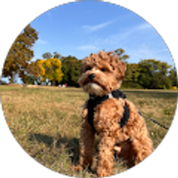 Profile photo of Chelsea Penafiel