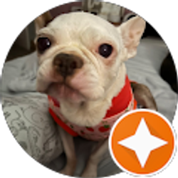 Profile photo of Stephanie Sourapas