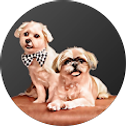 Profile photo of Joyce Lehn