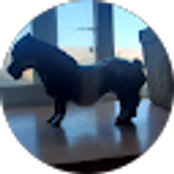 Profile photo of Allison enters
