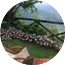 Profile photo of Alex Adams