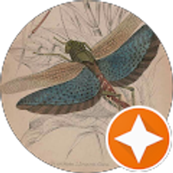 Profile photo of Heather Hayward