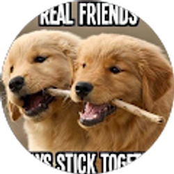 Profile photo of annemarie miller-jones