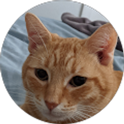 Profile photo of Justin Mullins