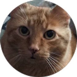 Profile photo of Rachel Ayoob