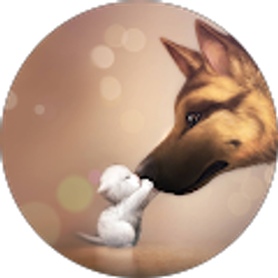 Profile photo of J.Hively