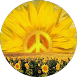 Profile photo of LVC