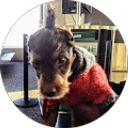 Profile photo of Daniel Smith