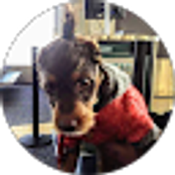 Profile photo of Daniel Smith