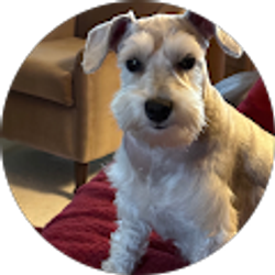 Profile photo of Patti Bertwell