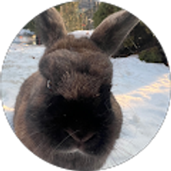 Profile photo of Alexandra Bartholomew