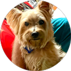 Profile photo of Nery Gainor