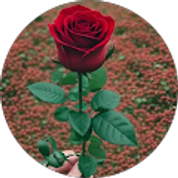 Profile photo of Vaniuska Alonso