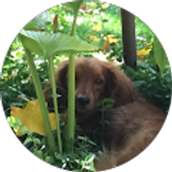 Profile photo of Mary L Brata