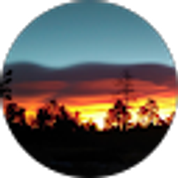 Profile photo of Lucas Hauschild