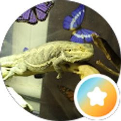 Profile photo of Maggan's Rescue's