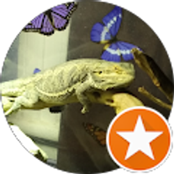 Profile photo of Maggan's Rescue's