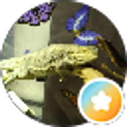 Profile photo of Maggan's Rescue's