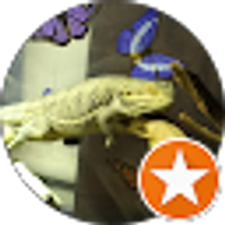 Profile photo of Maggan's Rescue's