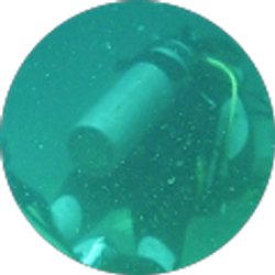 Profile photo of Robert Sammons